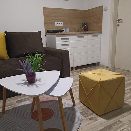 Vikendica Apartments Dunav Ms Celarevo Екстер'єр фото